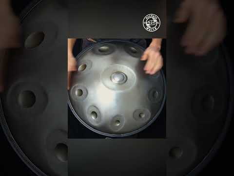 Horayzon D Kurd 16 Master #Handpan