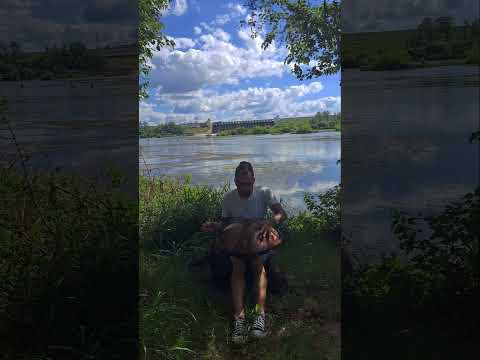 Pablo Zarra Handpan f# pygmy "Para Inti"