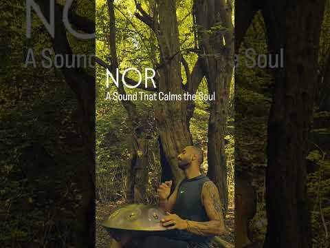 Every note fades away… but the feeling remains. 🕊️✨#hangdrum #hangdrummusic