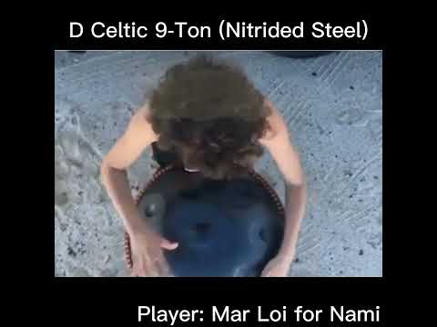 handpan D Celtic 9 Ton Nitrided Steel Mar Loi for Nami (Thanks Sara and Daniele)
