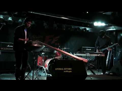 Animal Divers - Liveaboard (20180429 @ClubFF)