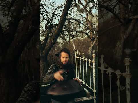 Sounds in the garden | Alwin Steinle | Handpan - Omana Barva #handpan #handpanmusic #flow #forest