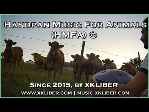 🐮🎶❤️ - HMFA N.01 - COWS LOVE HANDPAN MUSIC (Handpan Music for Animals number 01) - xkliber