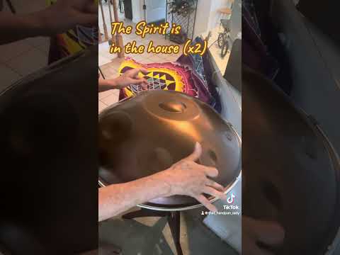 🛸🎶 😇 ​💕 That Handpan Lady with her E Major handpan by @spirithandpans 💕 😇🎶🛸