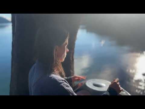 Madrona Tree Handpan Flow | Jocean Handpan Music