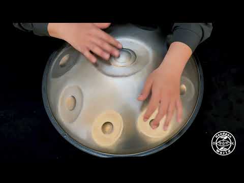 Horayzon Master Handpan | D Kurd 9 | Edelstahl | 440 Hz | D/ A Bb C D E F G A