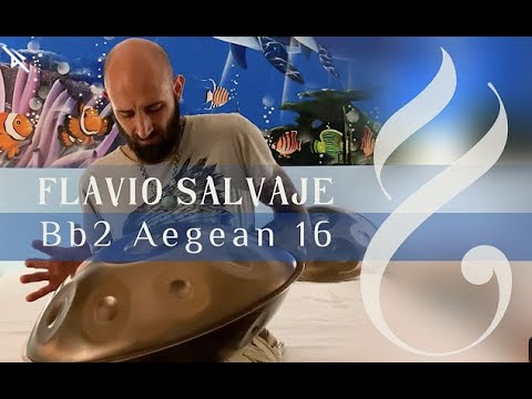 𓂀 Flavio Salvaje 𓆃 Bb2 Aegean  ፠ YISHAMA