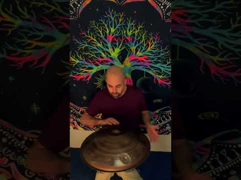For Ingrid | Tobias Hamer | Handpan E Amara 17 #handpan #percussion #music #feeling