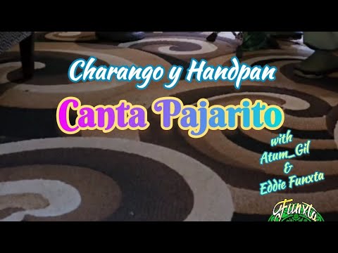 Canta Pajarito - Charango by Atum_Gil & Handpan by Eddie Funxta