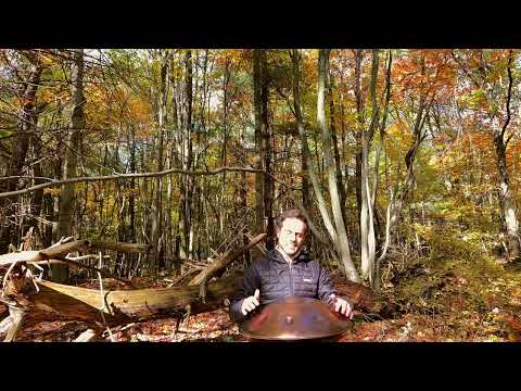 RELAXING BACKGROUND #3 | Handpan Music - The sounds of the FOREST! improvisation in colorful Autumn.