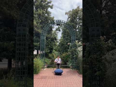 Handpan F# Pygmy 18 - Coulée verte René-Dumont - Paris - France