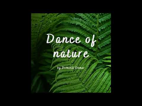 handpan meditation music | Dance Of Nature - Dominik Demar