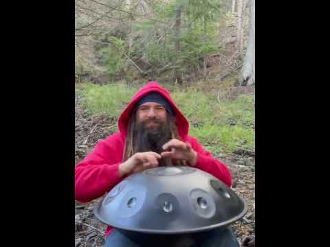 BeatRise Nitrided Steel Handpan - D Kurd 10 - Ethereal in E #shorts
