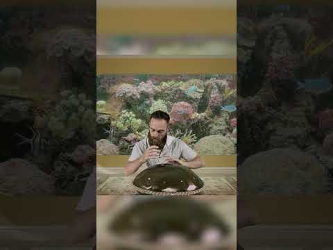 Let This Calm Your Mind 🧘‍♂️🎵