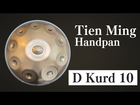 【レンタルハンドパン】Tien Ming Handpan / D Kurd 10 (試奏1) [管理番号100]