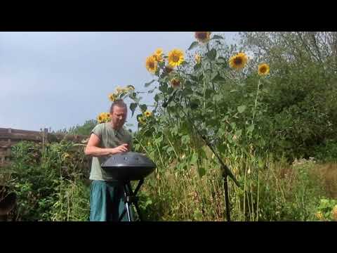 Tournesols 160822