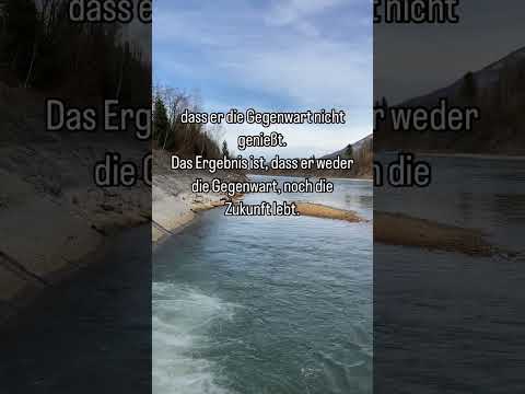 Handpan Musik mit Zitaten #shorts, gelernt von ( @markusgerlachartisthandpan8866 ), D Kurd 8+1