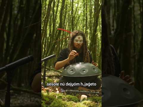 H₃rḗḱs dei̯u̯ós-kwe (excerpt) #throatsinging #handpan #livelooping