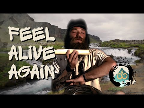 Back to the Source | Daily Guided Meditation with Breathwork & Sound Healing | #716
