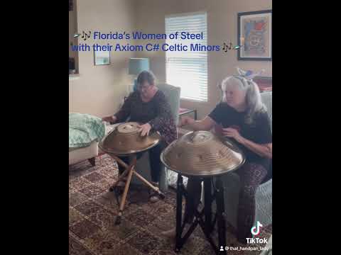 🛸🎶 An impromptu improvisational jam w/2 C# Celtic Minor handpans created by @AxiomHandpans 🎶🛸