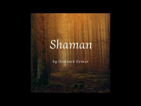 handpan meditation music | Shaman - Dominik Demar