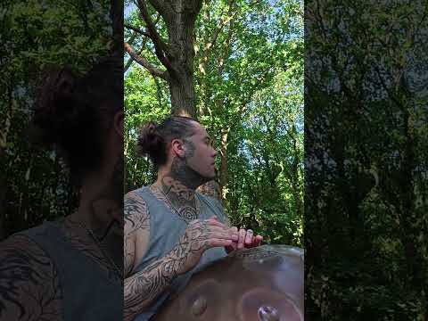 with reverb or with out reverb you tell me #handpan #soundmassage