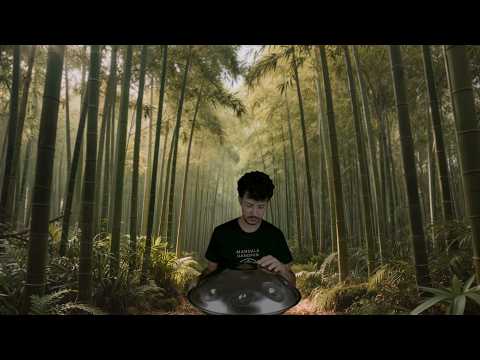 Original Handpan Improvisation in a Bamboo Forest (1 Hour) | Planet Ding
