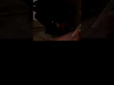 Handpan 18 notas hijaz colombia  marca aciel