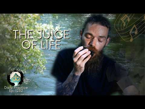 The Juice of Life is in the Moment | Guided Breathwork Meditation | Ep. 1232
