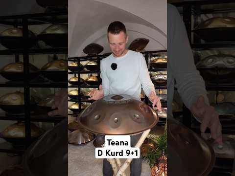 Teana D Kurd 9+1 Handpan