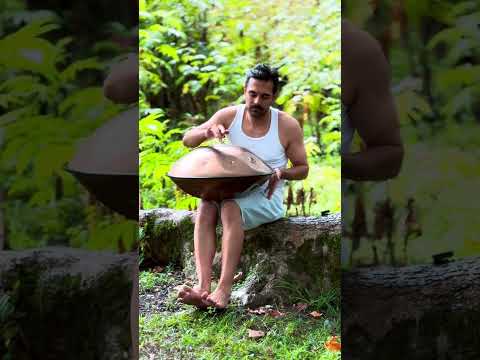 D Aegean handpan , 18 notes