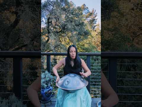 enjoying the sunshine - handpan: g minor harmonic 13 Spirit Handpans