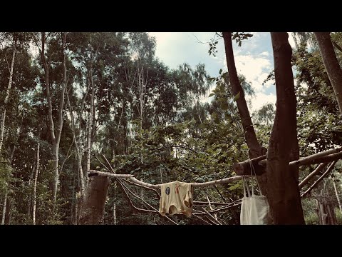 Handpan in Hackney Wick Woods: Part II