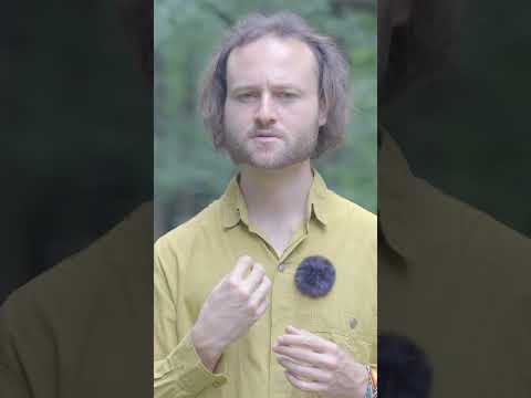 Dein Handpan-Sound: Wie dein Selbst zu Musik wird 🧐