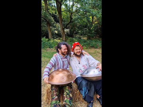 "Hello, what handpan scale do you have?" | Into The Wild Festival | Handpan Music