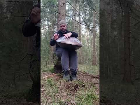Spring in the Woods