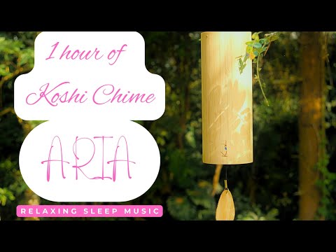 1-Hour Air Meditation with Koshi Chimes ARIA | ASMR Binaural Sound | 4K Experience