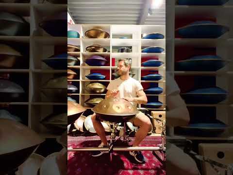 I found this !FANTASTIC! Spanish handpan lost in a store in Europe