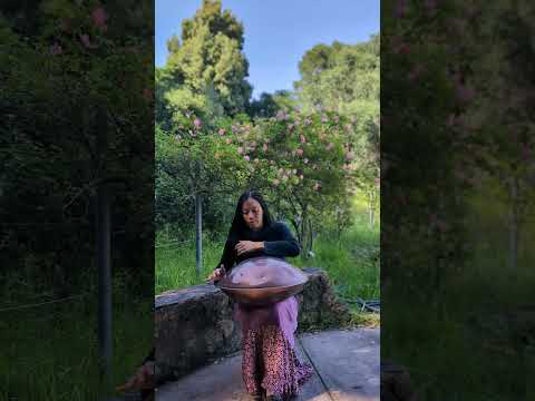 at the rose garden - Handpan G Major 19 Elysian Instruments