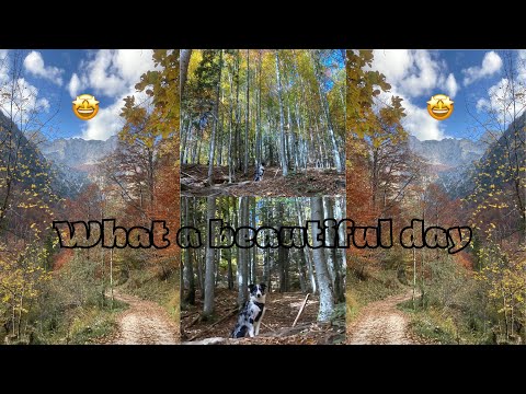 Ein Herbstspaziergang mit Handpanklängen / An autumn walk with handpan sounds, D Kurd 8+1 Edelstahl