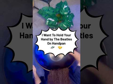 I Want To Hold Your Hand by The Beatles on Handpan πΈπ€ #handpan #thebeatles #handpandan #coversong