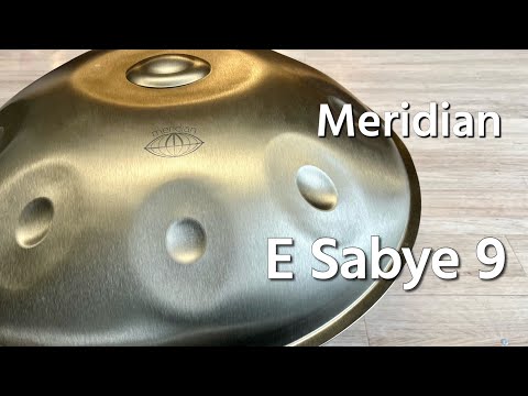 【レンタルハンドパン】Meridian / E Sabye 9 試奏2