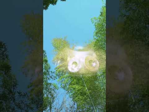 Bamboo Forest Meditation — A Breathing Handpan Piece | Asato Tachibana