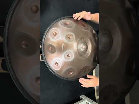 Raysen Handpan 21 notes #F pygmy 12+9
