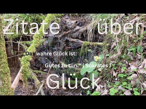Handpan Musik mit Zitaten #4, D Kurd 8+1 Edelstahl ( inspiriert von @MalteMarten )