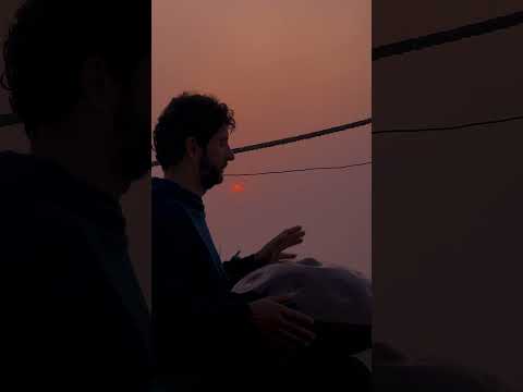 1 Minute of Peace | Handpan Music 🌿 | Dangus Pantam