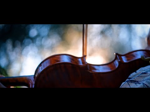 LOST IN TIME | Autumn Meditation | handpan & spherical violin | 4K