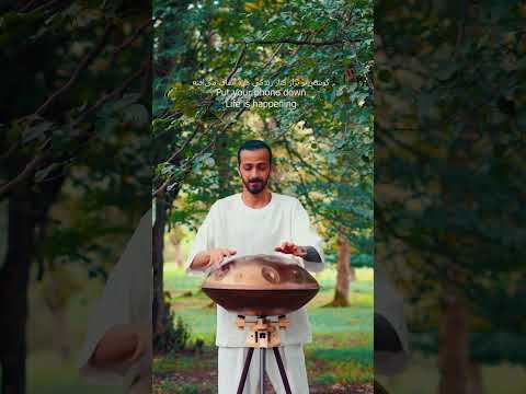 #handpan #short #shorts #nature