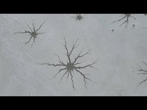 Fox Lake Starburst with Handpan