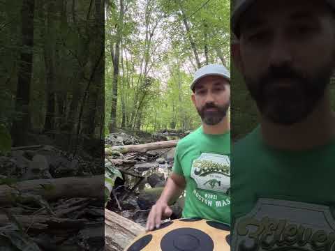 Neotone Hijaz & Birdsong #handpan #nature #outdoors #handpanmusic #432hz #naturevibes #relaxingmusic